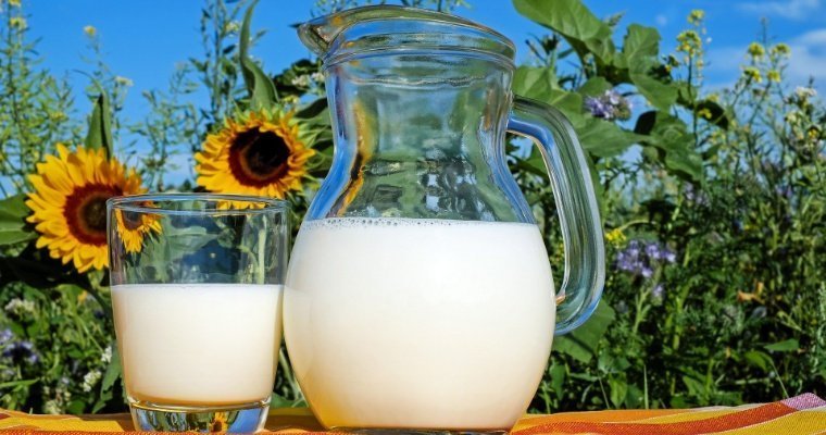 Почти на 5% выросло производство молока в Удмуртии