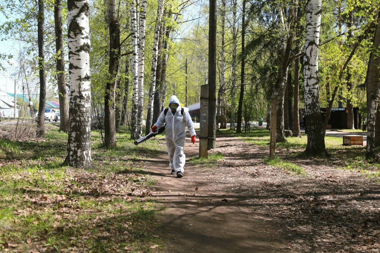 В Ижевске нашли подрядчиков для обработки территорий от клещей и грызунов