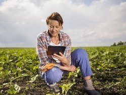 Скоростной 4G от билайна заработал в трех селах Кезского района Удмуртии