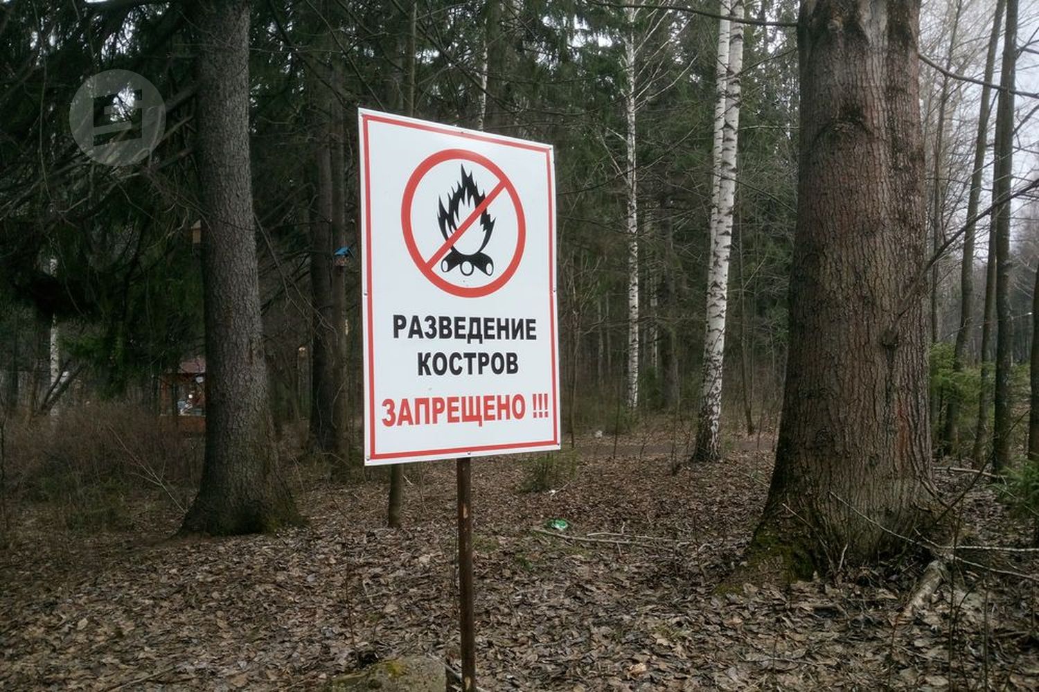 На территории области запрещено. Противопожарный режим в лесу. Табличка в лесу. Особый противопожарный режим в лесах. Лес вывеска.