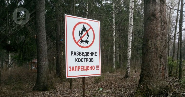 Пожароопасный сезон в лесах Ижевска начнется с 25 апреля
