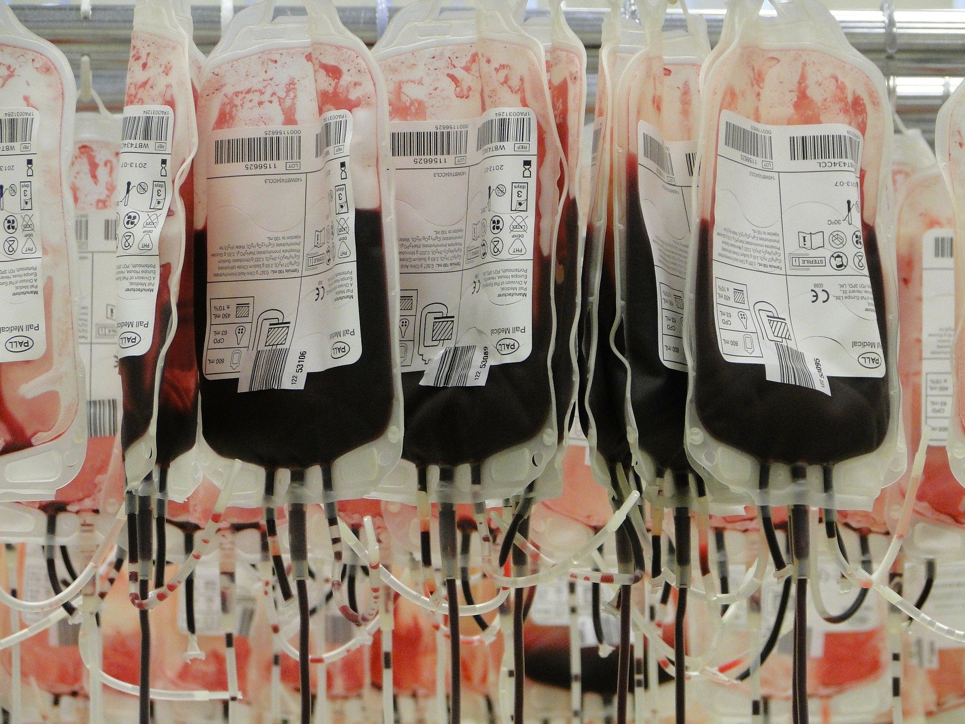 Более 220 литров донорской крови сдали в Удмуртии за июнь