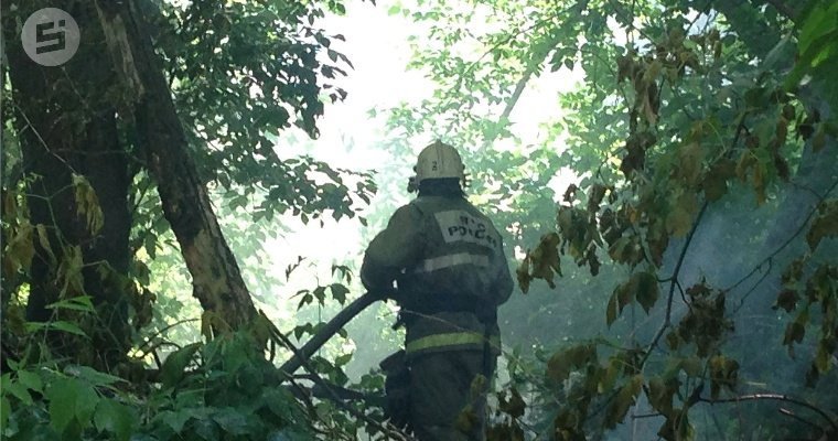 В июле в лесах Удмуртии сохранится стабильная пожарная ситуация