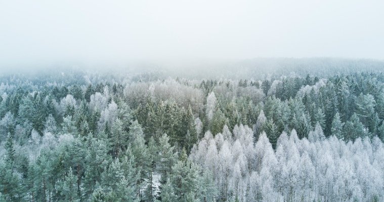 Синоптики Удмуртии рассказали о максимальных и минимальных значениях температуры воздуха в январе 