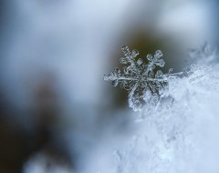 В Норильске в середине лета выпал снег