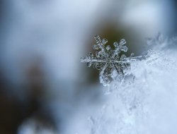 В Норильске в середине лета выпал снег