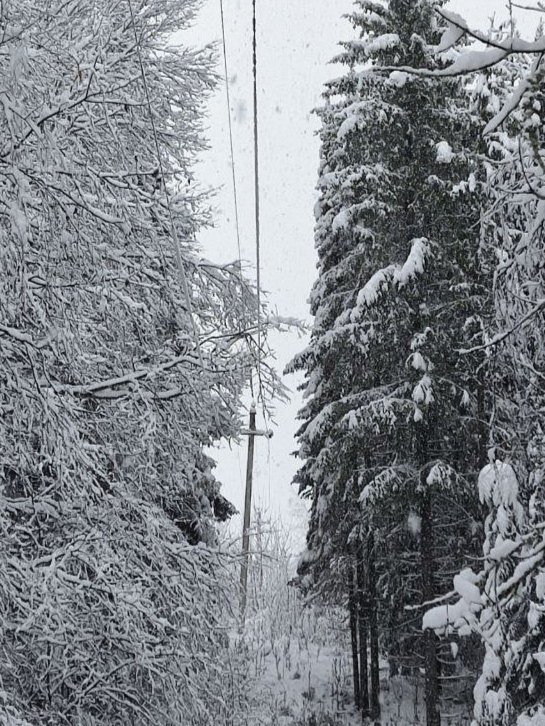 Тяжёлый мокрый снег повредил пять линий электропередач в Якшур-Бодьинском районе 