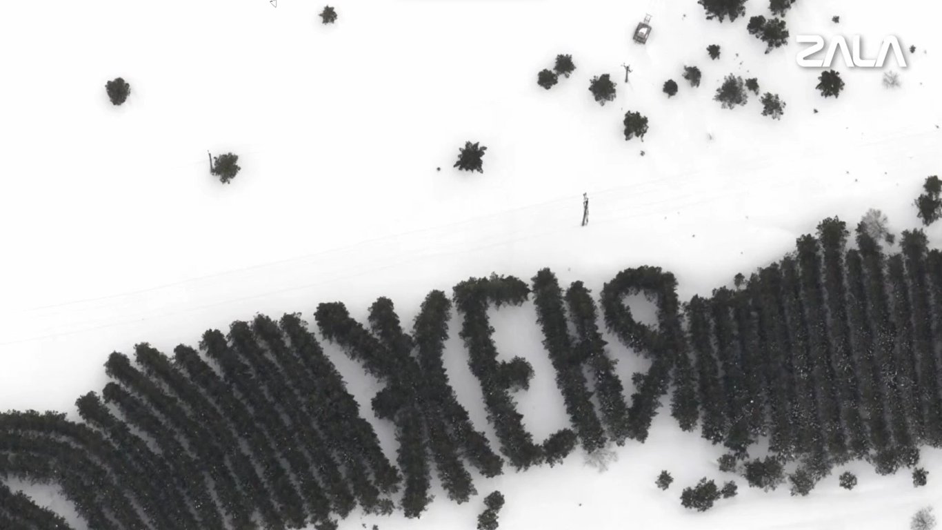 Ижевский беспилотник обнаружил в Башкирии гигантское послание, высаженное деревьями