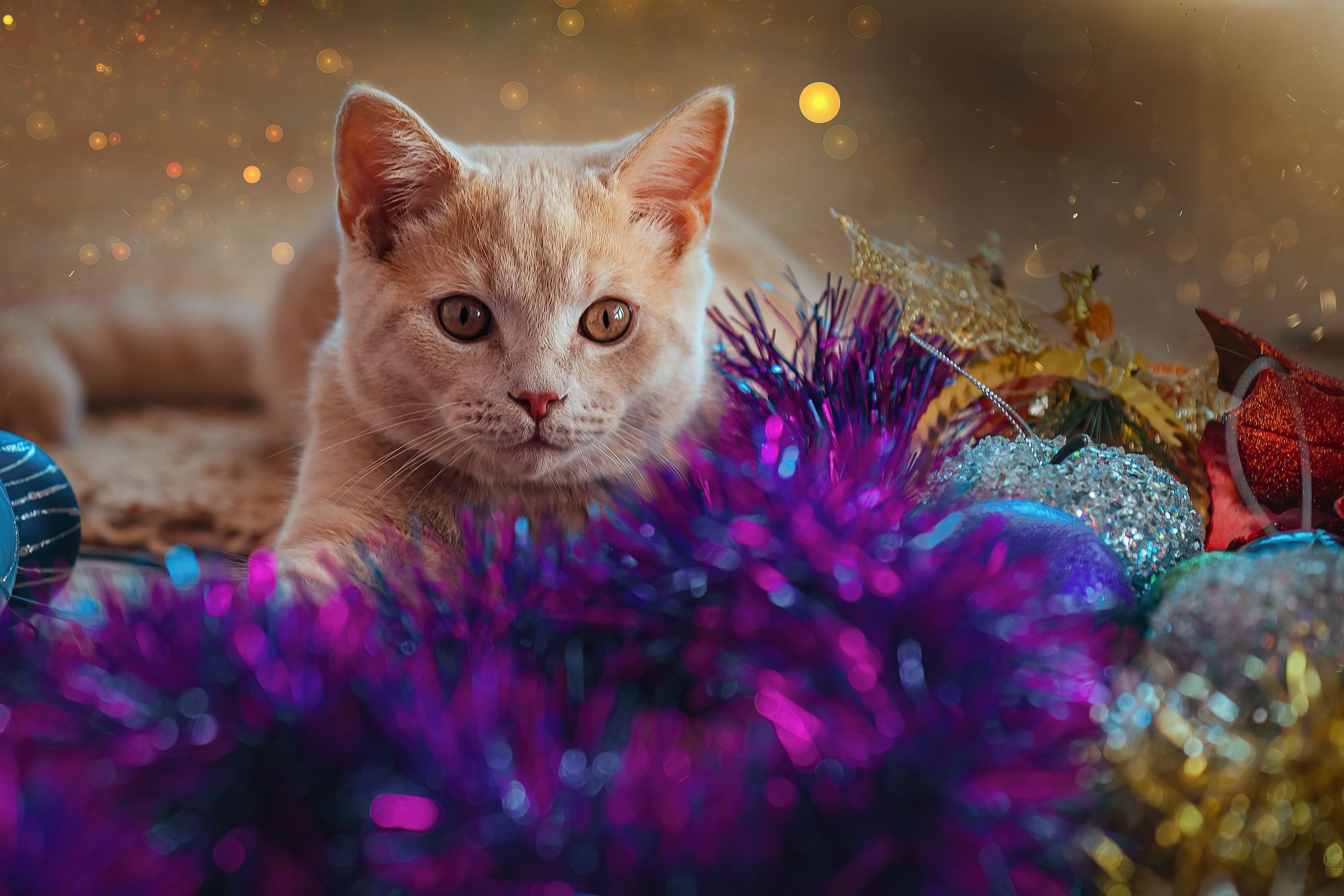 Жителей Удмуртии предупредили об опасных для домашних животных новогодних украшениях 