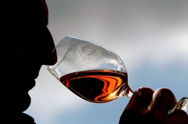 Дегустацию алкоголя в магазинах могут запретить в России