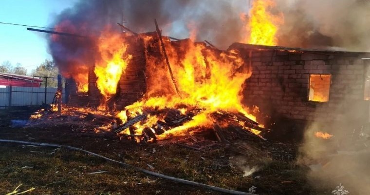 Два десятка кроликов и две козы сгорели на пожаре в Нечкино