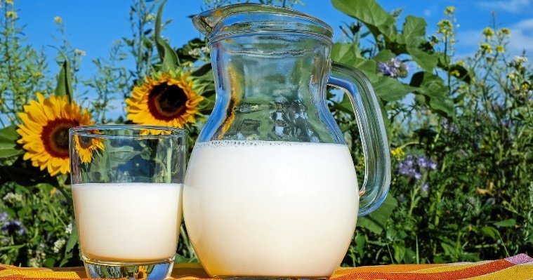 Сельские хозяйства Удмуртии за 9 месяцев произвели более 640 тысяч тонн молока