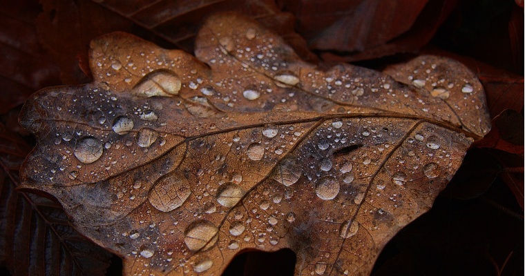 19 октября в Удмуртии пройдут небольшие дожди