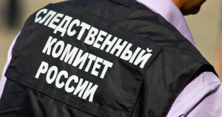 Подозреваемого в экстремизме жителя Удмуртии доставили в Москву