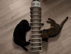 Картина дня: усиление режима отопления в Ижевске и нехватка водителей на пригородных автобусах