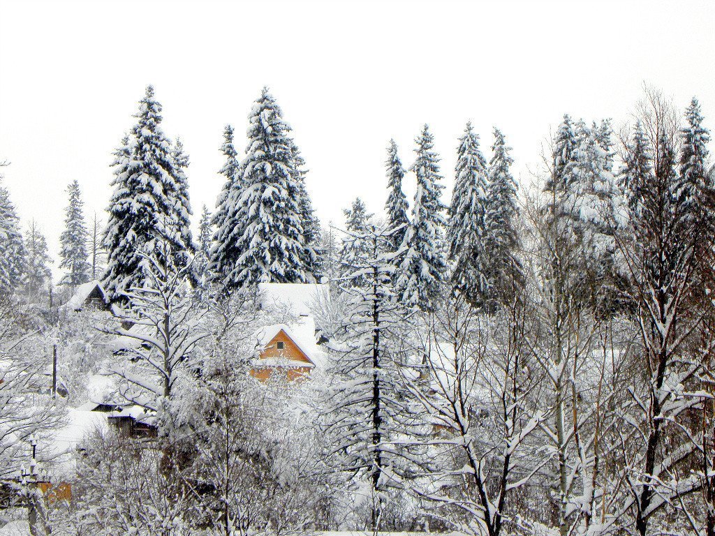 Три города и 14 районов Удмуртии полностью готовы к зиме