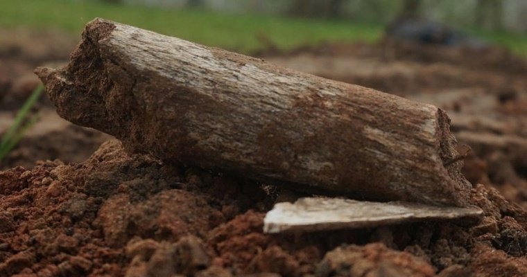 У заброшенной деревни в Удмуртии обнаружили человеческий скелет