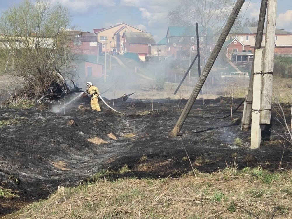 В Алнашах потушили возгорание сухой травы