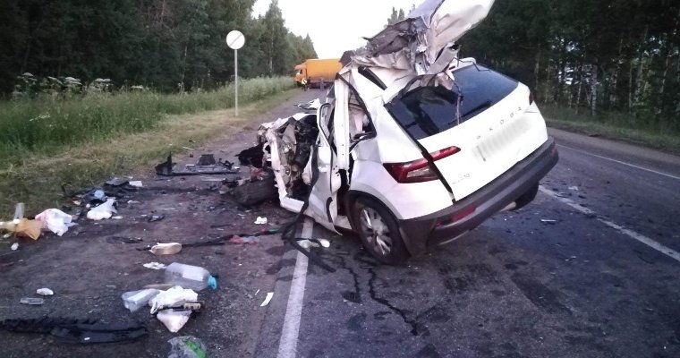Водитель «Шкоды» погиб в аварии с фурой под Воткинском