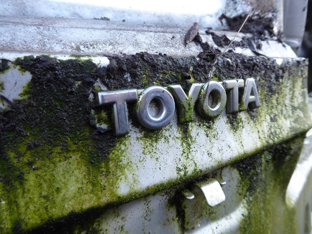 Новым владельцем бывшего завода Toyota в Петербурге стал Аурус