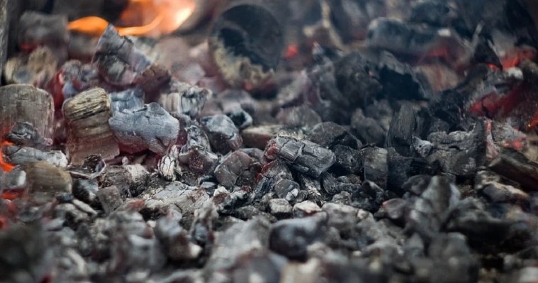 В доме пропавшей под Новгородом годовалой девочки нашли обгоревшие кости 