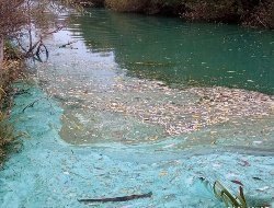 Минприроды Удмуртии: на изменение цвета реки Чегандинки повлияла гибель водорослей
