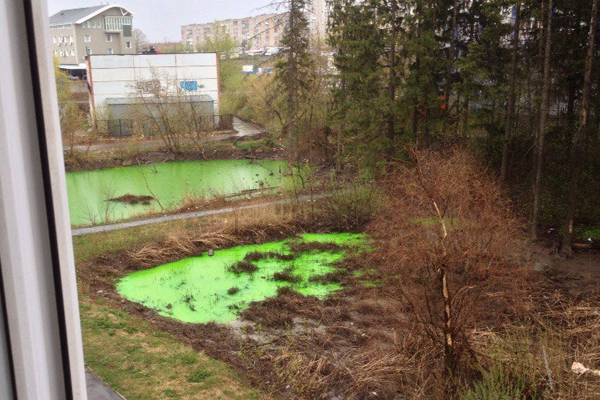 Накануне в Удмуртии: зеленая вода и жадный священнослужитель