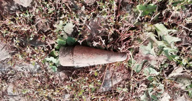 Артиллерийский снаряд нашли рядом с дорогой в Малопургинском районе Удмуртии