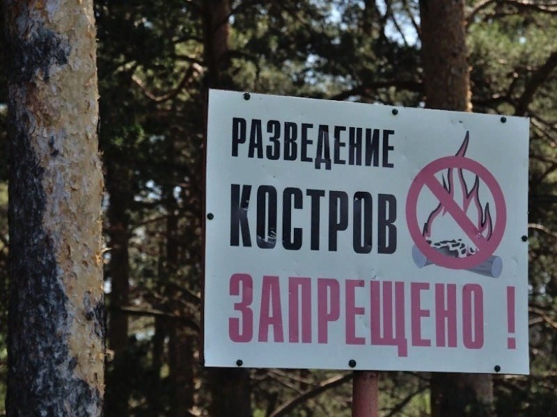 В Удмуртии отменили особый противопожарный режим в лесах