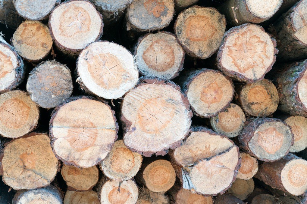 

Двое жителей Удмуртии вырубили на территории природного парка деревья на 1,5 млн рублей

