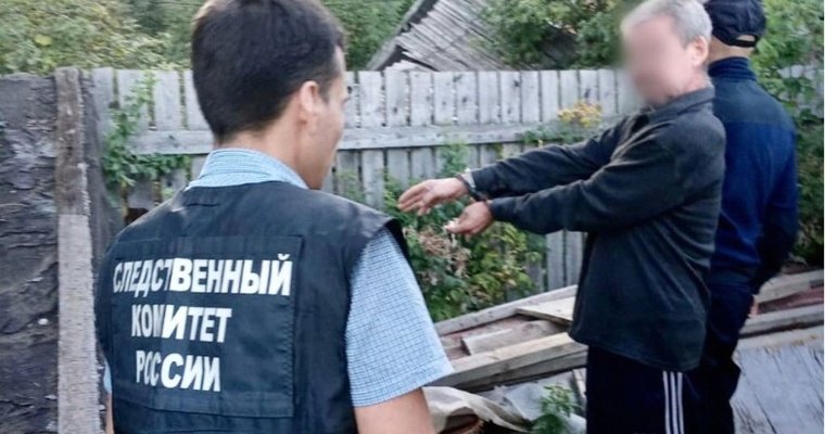 Жителя Воткинска обвинили в том, что он убил молодого собутыльника и расчленил его тело