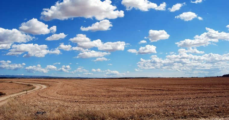 В Удмуртии предложили сократить срок неиспользования земель сельхозназначения до 2 лет