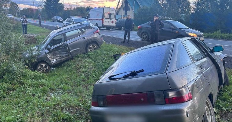 В Глазовском районе водитель насмерть сбил пешехода при обгоне авто 
