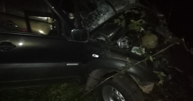Лишенный прав водитель врезался в дерево в Глазове: погибли два человека