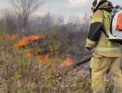 В Удмуртии на острове Камы произошёл ландшафтный пожар 