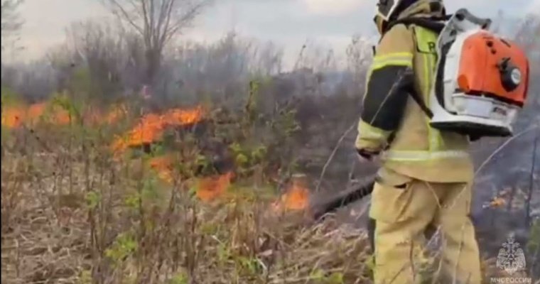 В Удмуртии на острове Камы произошёл ландшафтный пожар 
