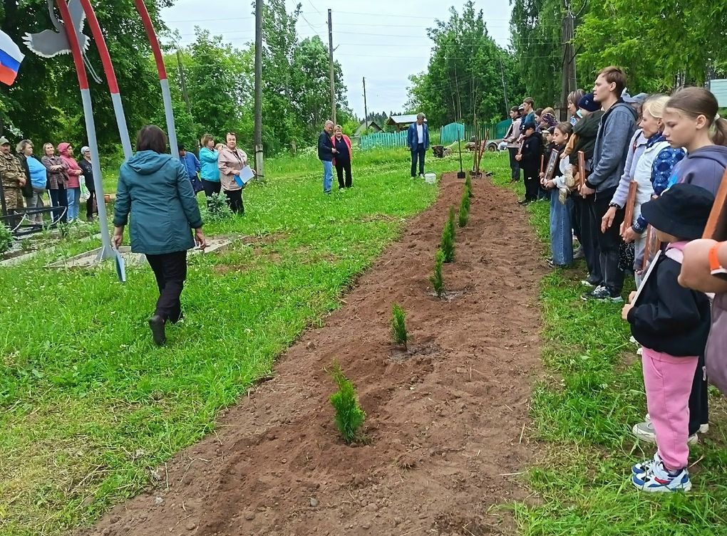 12 туй высадили в память о погибших на СВО земляках в удмуртском селе