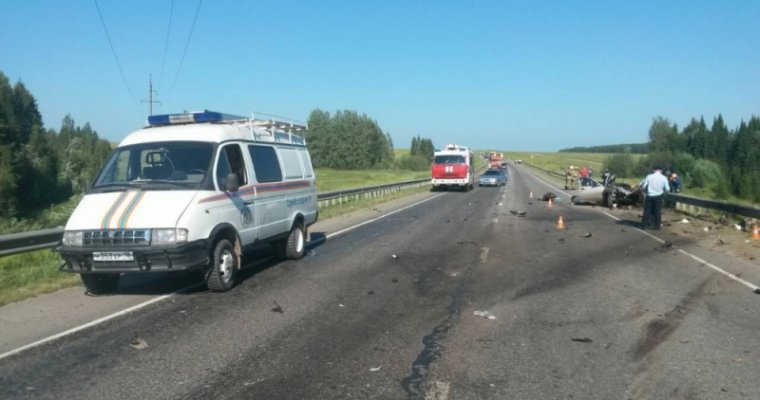 СМИ: два человека погибли при столкновении легковушки и грузовика в Удмуртии