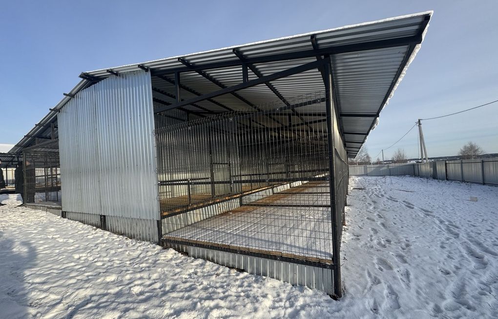 20 вольеров для бездомных собак построили в Устиновском районе Ижевска