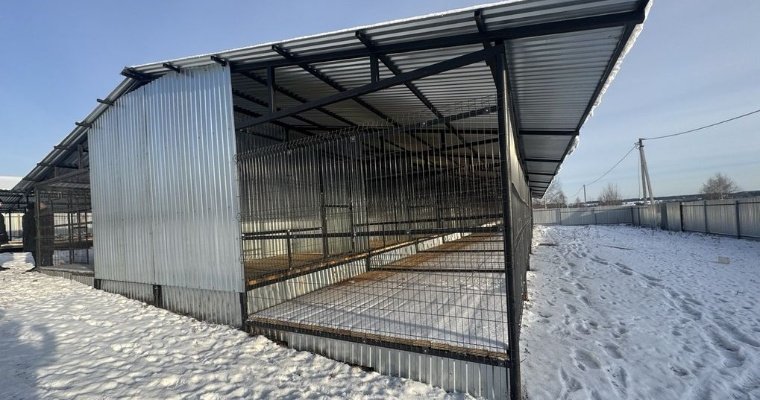 20 вольеров для бездомных собак построили в Устиновском районе Ижевска