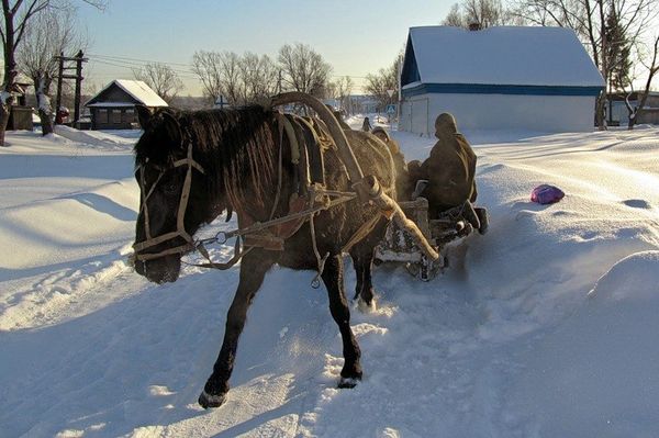 Водитель саней, пассажирка которых погибла в ДТП, предстанет перед судом в Удмуртии