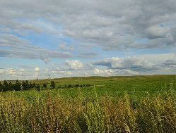 Итоги дня: режим ЧС из-за переувлажнения почвы в Удмуртии и ограничение на продажу алкоголя в День трезвости