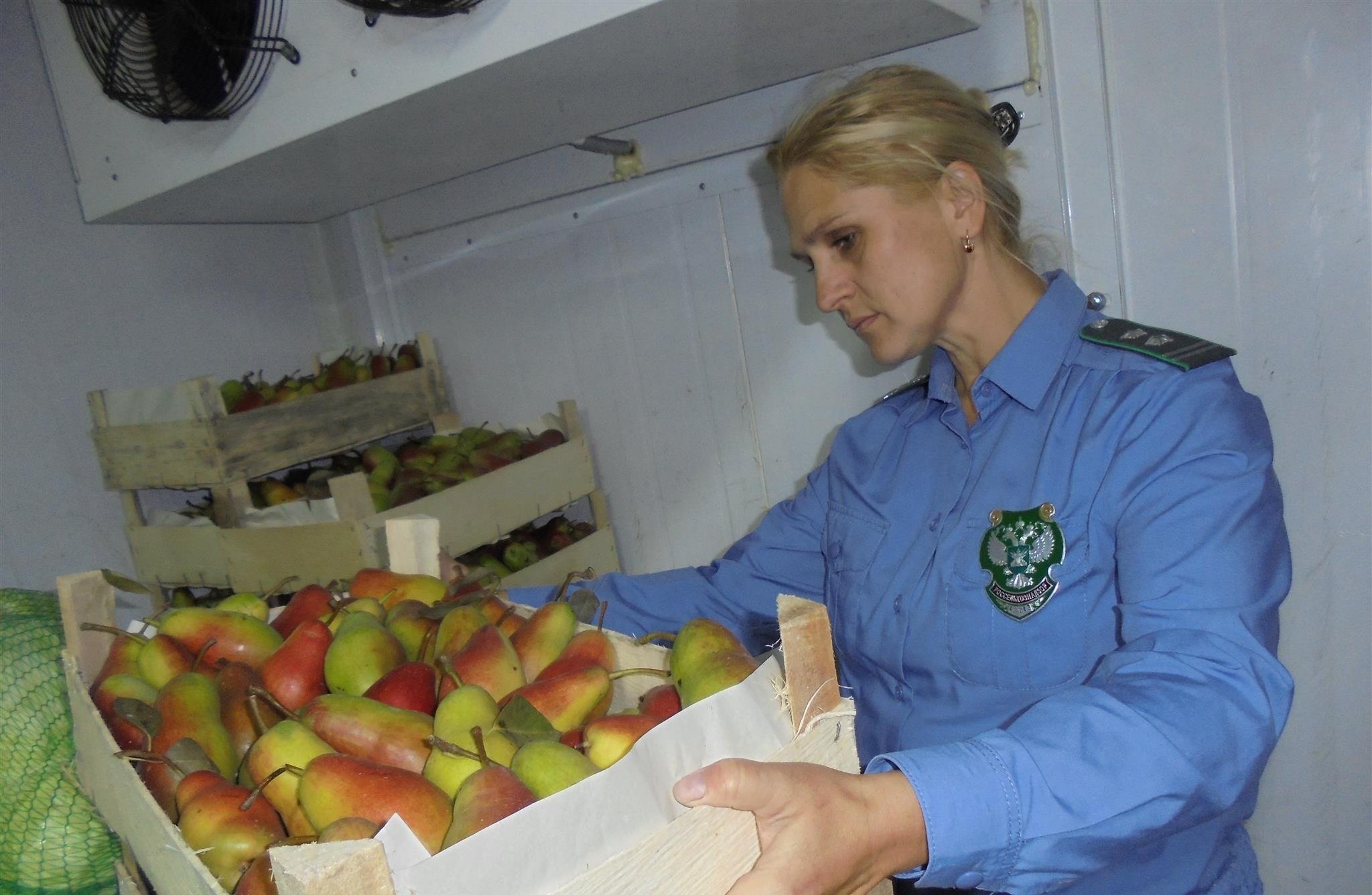 2,8 тонны фруктов и овощей уничтожили в Удмуртии с начала года