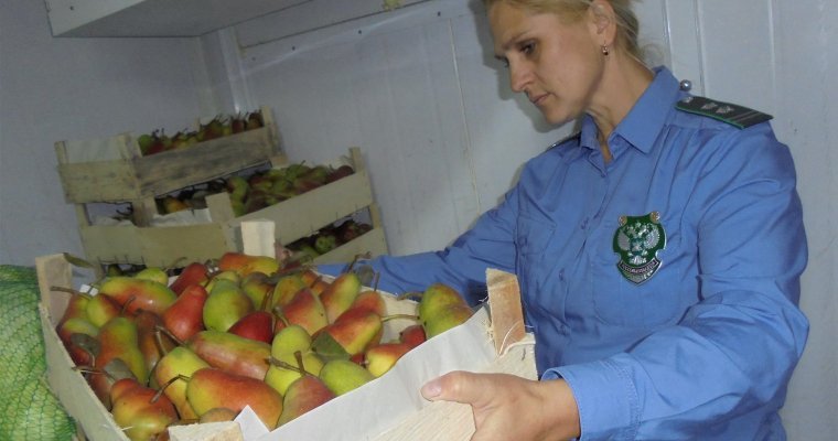 2,8 тонны фруктов и овощей уничтожили в Удмуртии с начала года