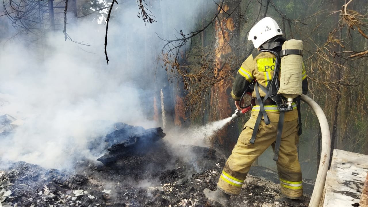 

Лесной пожар в Удмуртии уничтожил баню и постройку на пасеке у деревни Поварёнки

