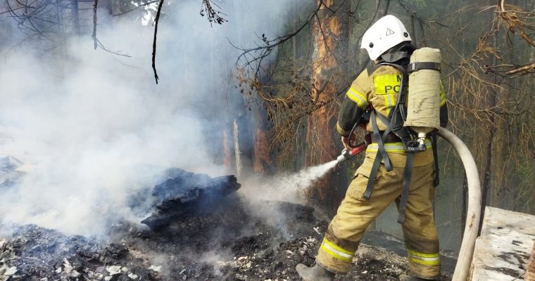 Лесной пожар в Удмуртии уничтожил баню и постройку на пасеке у деревни Поварёнки