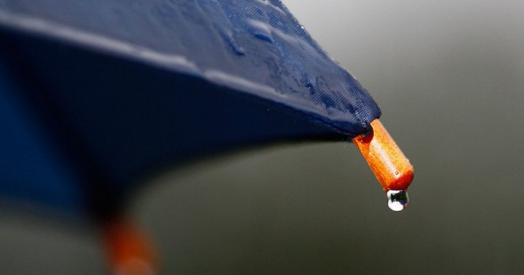 Прохладно и дождливо будет в Удмуртии в выходные