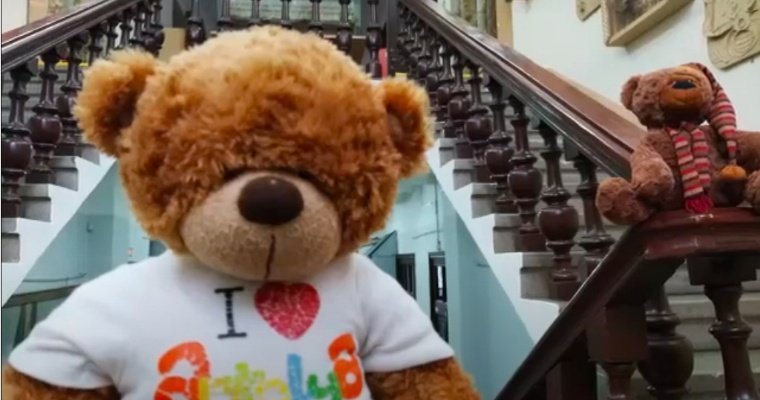 История игрушек: в музее-заповеднике Сарапула провели экскурсию для плюшевых медведей 