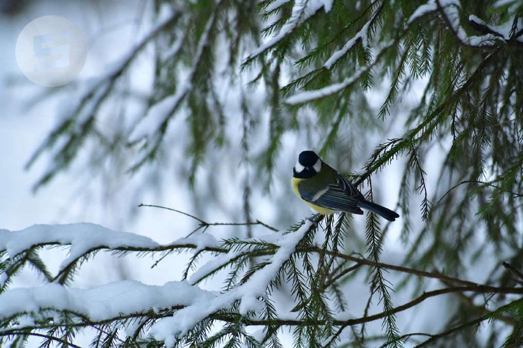 До -12 градусов ожидается в Удмуртии днём 20 января