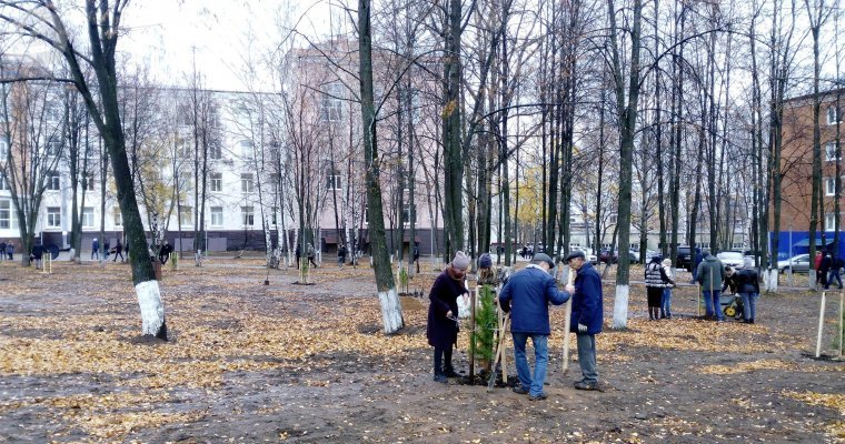 В сквере имени М.Т. Калашникова в Ижевске высадили 100 кедров и 600 тюльпанов